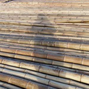 ไม้ไผ่ดิบสำหรับก่อสร้างและทำการเกษตรไม้ไผ่แบบก้านหลากหลายขนาดไม้ไผ่แบบ Tam Vong ไม้ไผ่ธรรมชาติ - Product Image 6