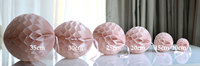 Ensemble de papier de soie en nid d'abeille |   Pompons en papier colorés |   Décorations de fête d'anniversaire