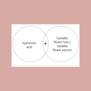 Tonico Essenziale Bilanciante Cap-Stay all'Acqua di Camelia (Sbiancante e Anti-Rughe) (Cosmetico Funzionale Coreano) - Product Image 2