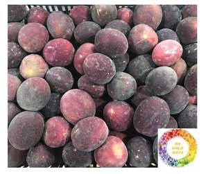 Fruit de la passion congelé IQF de la prime directe d'usine du Vietnam 100% fruit de la passion congelé naturel avec l'expédition rapide pour l'exportation - Product Image 4