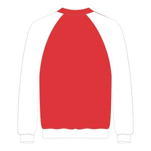 Hbcu เสื้อสเวตเตอร์แขนยาว DST Raglan มีการปักลายภาษากรีก sority Delta Divine COLLEGIATE - Product Image 3