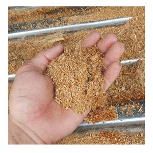 Coco Peat from Coconut Coir: Culture durable pour les plantes, Achetez Coco Peat Made of Coconut Coir: Base de sol écologique en vrac - Product Image 1