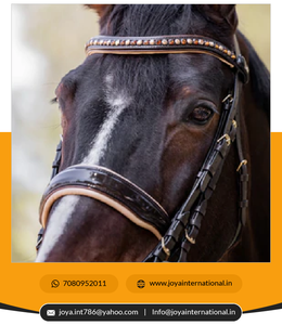 Vente en gros de brides de dressage en édition limitée, bride double pliante lisse marron verni scintillant - Product Image 4