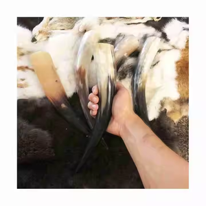 Nuevo aspecto con un precio razonable Cuerno para beber Hecho EN LA India Cuerno de búfalo Vasos Cuerno para beber hecho a mano por Artesanías de media luna - Product Image 4