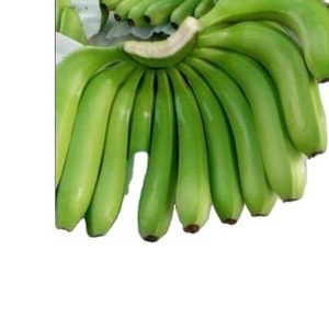 La mejor calidad de exportación, plátano Cavendish, plátano verde orgánico fresco - Product Image 2
