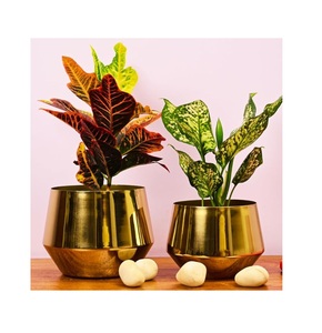 Lot de 2 grandes jardinières en métal doré pour plantes d'intérieur et d'extérieur pour le salon, la chambre à coucher, le bureau et la maison. - Product Image 1