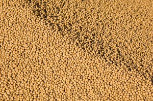 Comida de soja/ALIMENTACIÓN ANIMAL Soja Compre comida de soja de calidad en línea a un precio asequible - Product Image 3