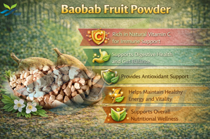 HGO Fournisseur direct d'usine de poudre de fruit de baobab pure naturelle, spécification de qualité alimentaire, poudre de fruit, poudre de fruit ou de légume - Product Image 5