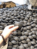 {HOT - DEAL} -bantal arang untuk panggangan BBQ restoran/BRIQUETTE arang/batu bara padat dari batu bara