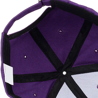 Casquette de baseball personnalisée avec logo brodé 3D, 5 panneaux, léopard, Melin, imperméable, chapeau de golf, chapeau de camionneur
