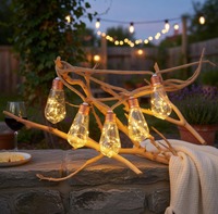 Guirlande lumineuse LED solaire en plastique pour extérieur, étanche IP44, rechargeable, à commande tactile, pour jardin, cour, Noël, ampoule en forme de boule