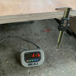 KEGO Vietnam contreplaqué standard de haute qualité 28MM IICL 100% noyau d'eucalyptus 6000N capacité de charge utile pour panneau de revêtement de sol en conteneur - Product Image 1