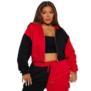 Offre Spéciale 2 panneaux recadrée femmes sweat à capuche sur mesure 380 GSM 100% coton polaire décontracté Style court contraste panneau avant Logo pour - Product Image 4