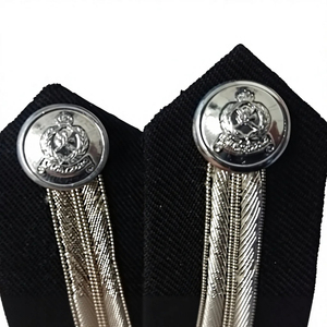 Vestido Azul de Alta Calidad con Cuello Gorget, Detalles de Encaje Bordado, Hojas Doradas y Botones Lisos, Ecológico, Talla Grande - Product Image 3