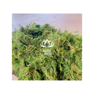 Экологичный декоративный мох искусственный сфагнум для горшечных растений сушеный Лесной Зеленый мох вьетнамская посадка Орхидея