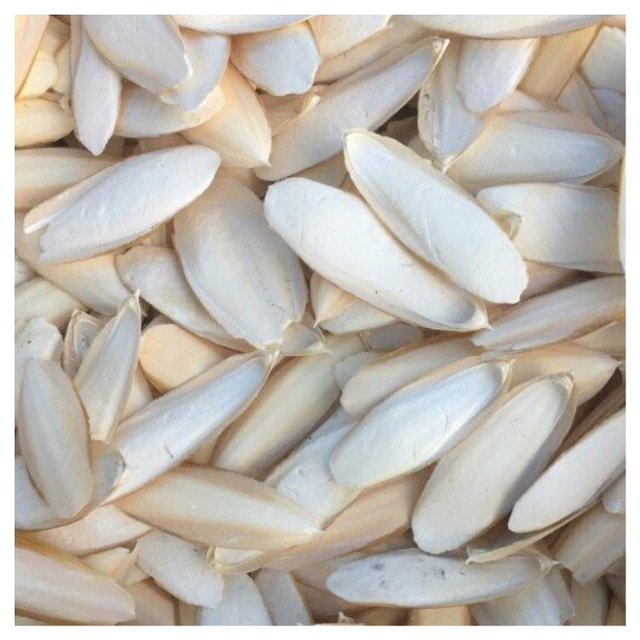 High-quality Cuttlefish Bone for Healthy Beak Maintenance and Enrichment.