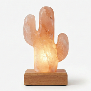 Lámpara de Sal del Himalaya con Forma de Cactus, Funciona con Batería, Tallada a Mano, Cristal Rosa Natural, Luz Nocturna Portátil para Escritorio y Decoración de Viaje - Product Image 1