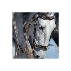 Browbandjes Stevige Browbands Voor Paarden