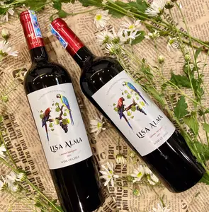Drankenleverancier Prijs Kwaliteit Export Hoge Fles Pakket Santo Molina Rode Wijn Van Chili