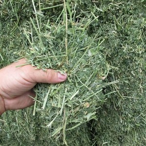 Balles/granulés/cubes de luzerne de foin de Timothy Hay de qualité alimentaire pour l'utilisation de moutons de chien de poisson de porc de bétail de cheval - Product Image 5