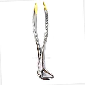 Pinzas Dentales Manuales de Acero Inoxidable Premium con Patrón Inglés, Certificación CE, para Extracción Segura de Dientes - Product Image 6