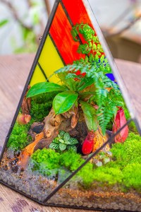 Terrarium artisanal en verre teinté arc-en-ciel, forme gé<span class=keywords><strong>om</strong></span>étrique irrégulière en forme de crête de glace, expédié dans le monde entier - Product Image 5