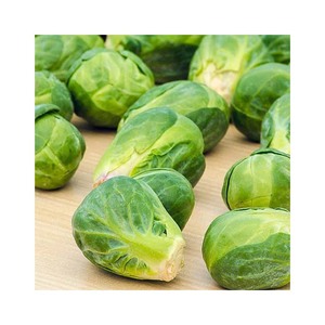 Tailandia Buena calidad Frozen Mini Brussels Sprouts IQF Plant Brussels Sprouts con certificación - Product Image 6