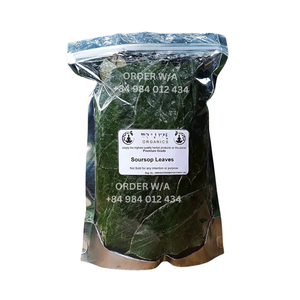 Té de hierbas orgánico natural de etiqueta privada Té de hoja de Graviola Té de Guanábana con alta calidad y precio competitivo - Product Image 2