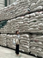 Riz blanc japonais à grains courts de haute qualité 30kg importation en vrac graines certifiées saines fournisseur de qualité à bas prix ANNA D