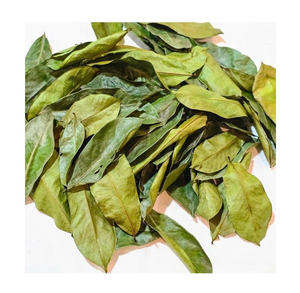 Hojas de Guanábana secas de alta calidad Annona Muricata Soursop Graviola para preparar té - Product Image 1