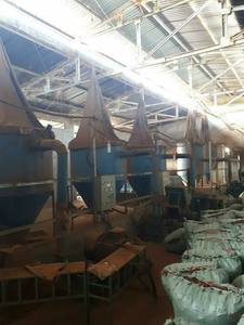 ผง jigat Joss สำหรับทำธูปจากเวียดนามผง Joss สำหรับธูปผงหมากฝรั่ง Akina - Product Image 3