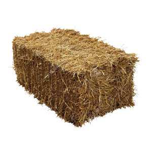 El mejor precio, heno de avena natural para caballos y ganado/heno de avena seca, stock a granel disponible con embalaje personalizado - Product Image 3