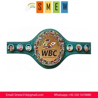 Boş yüceltilmiş deri amerika birleşik Judo boks şampiyonası kemer WBC sıcak satış boks MMA şampiyonası kemer
