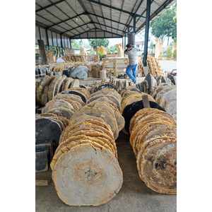 Plateau de table en bois pétrifié naturel sur mesure en gros pour tables basses - Product Image 6