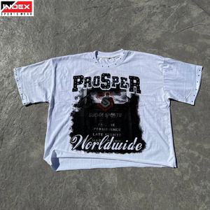 Camiseta de Manga Corta con Cuello Redondo Estampada para Hombre, Corte Regular, Diseño Casual, 100% Algodón Jersey, Marca Prosper Worldwide - Product Image 4