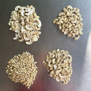 Fiable AGRIKIM noix de cajou crues biologiques LP/SP/WP Vietnam Premium haute qualité meilleur prix quantité minimale de commande 13MT + 84 359318390 - Product Image 3