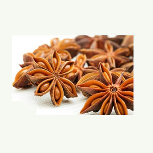 เมล็ดโป๊ยกั๊กสมุนไพรแตกเป็นเครื่องเทศแห้งเมล็ดโป๊ยกั๊ก - Product Image 4