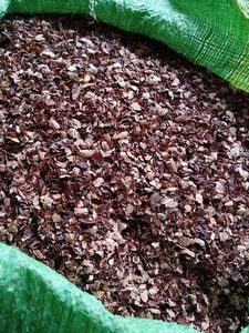 VENTE 2024 | EXPORTATION VIETNAMIEN CAJOU HUSK PREMIUM BONNE QUALITÉ BON PRIX - Product Image 6