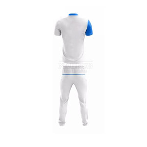 Uniforme de equipo de críquet de tela de poliéster, uniforme de críquet con logotipo personalizado, uniforme de críquet de precio al por mayor - Product Image 3
