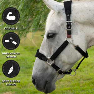 2026 Dernier modèle de licol pour cheval en cuir de qualité supérieure et durable, personnalisable avec plaque nominative, fait main, avec muserolle rembourrée souple et couronne - Product Image 2