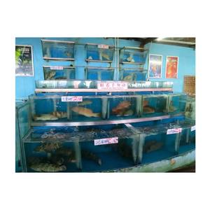 Petit aquarium de ménage écologique en plastique transparent personnalisé Mini aquarium de poissons Koi - Product Image 5