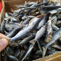 Poisson volant séché salé traditionnel, moins salé, distribué en grande quantité