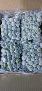 IQF CALAMANSI CONGELÉS ENTIERS OU TRANCHÉS POUR LES MÉLANGES DE JUS RESTAURANTS ET DISTRIBUTION D'INGRÉDIENTS DE FRUITS EN VRAC - Product Image 5