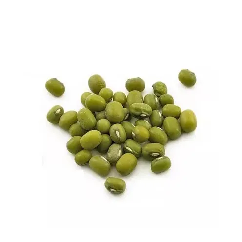 최고의 선택과 최고의 할인 녹색 콩 기계 청소 프리미엄 학년 녹색 녹두 수출 판매 도매 공급 업체