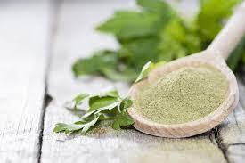 POUDRE DE CÉLERI VERT/NON-GMO/PROPRMENT TRAITÉ/HAUTE QUALITÉ - Product Image 4