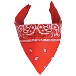 2025 Logo personnalisé imprimé de haute qualité 100% coton Bandana bleu visage écharpe pour une utilisation en extérieur - Product Image 3