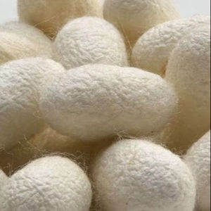 100% ขัดผิวด้วยไหมธรรมชาติและปราศจากสารเคมีคุณภาพระดับพรีเมี่ยมสำหรับการทำความสะอาดอย่างล้ำลึกและเพิ่มพื้นผิวด้วยทุกการใช้งาน - Product Image 1