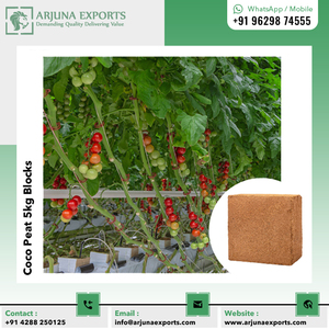 100% Natural Brown Coconut Coir Pith Coco Peat 5KG Blocks for <b>Potting</b> Mix Suppliers and Raspberry Planters - Product Image 6