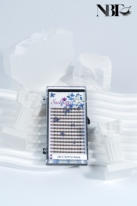 2D 0.07 50% OFF MM Coréen Noir Mat Premade Fans Volume Extension de Cils 0.07 0.10 0.12 0.15 J B C D L Curl Short Stem Lashes - Product Image 5