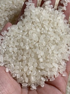 Cubierta de hielo no reutilizable - Product Image 2